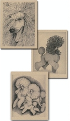 Poodle Cards