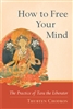 Tibetan Buddhism book