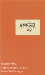 Mahamudra Buddhism book