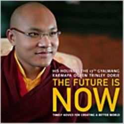 The Future Is Now by His Holiness the 17th Gyalwang Karmapa Ogyen Trinley Dorje