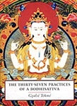 The Thirty-Seven Practices of a Bodhisattva by Gyalse Tokme