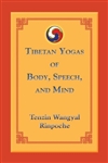 Tibetan Yogas of Body, Speech, and Mind, by Tenzin Wangyal Rinpoche