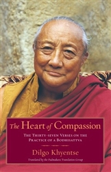 Heart of Compassion, The