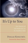 It's Up To You by Dzigar Kongtrul