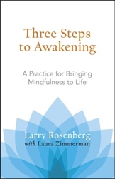 Three Steps To Awakening, Larry Rozenberg