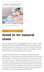 Mind in its Natural State, Instructions on Mahamudra Shamatha