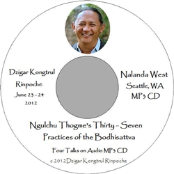Ngulchu Thogme's 37 Practices of the Bodhisattva, by Dzigar Kongtrul Rinpoche