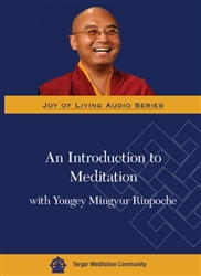 Introduction to Meditation, by Yongey Mingyur Rinpoche, DVD