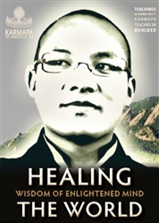 Healing the World, DVD (Boulder Teachings) by His Holiness the Seventeenth Gyalwang Karmapa, Ogyen Trinley Dorje