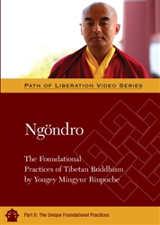 Ngondro Part 2, by Mingyur Rinpoche, DVD