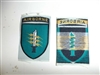 e4397 RVN Army Vietnam C-2 Mike Force woven patch green Airborne IR2B18