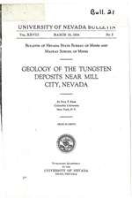 Geology of the tungsten deposits near Mill City, Nevada PHOTOCOPY