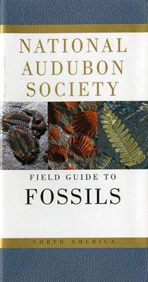 National Audubon Society field guide to North American fossils