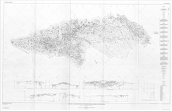 Geologic map and sections of the Pioche Hills, Lincoln County, Nevada