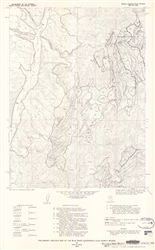 Preliminary geologic map of the Blue Basin quadrangle, Elko County, Nevada