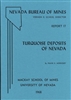 Turquoise deposits of Nevada