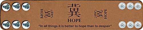 Genuine Soft Leather Bracelet (About HOPE - "In all things it is better to hope than to despair". English & Chinese character)
