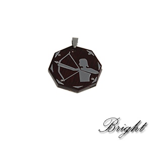 Steel Pendant SP1147-PWS034