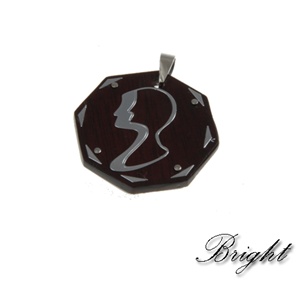 Steel Pendant SP1148-PWS028