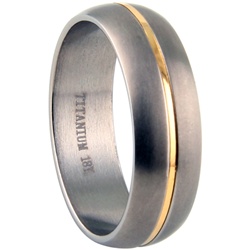 Titanium Ring with Gold Inlay