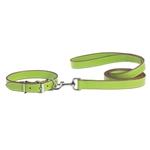 Casual Canine Leather Leash Green 6 Feet long 1 inch wide