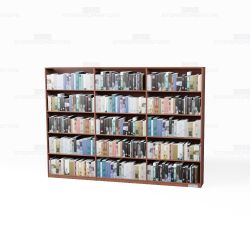 Two-Sided Veneer Bookshelves 9'