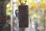 Suet-Sandwich Feeder