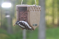 Recycled Peanut Feeder - Acorn