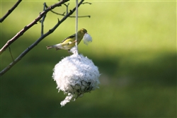 Cottontail Nest Builder