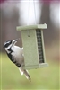 Recycled Suet Feeder