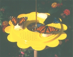 12 oz. Butterfly Feeder