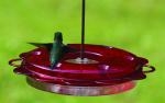 12 oz. Hummerfest Hummingbird Feeder by Birds Choice