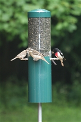 Classic Feeder w/Built-In Squirrel Baffle and Pole