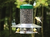 12'' Hanging Classic Feeder with Baffle and Weatherguard