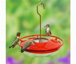 HummZinger Mini High View Hummingbird Feeder - 8 oz.