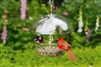 Droll Yankee Seed Saver Feeder