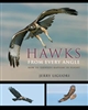 Hawks from Every Angle: How to Identify Raptors in Flight