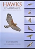 Hawks at a Distance: Identification of Migrant Raptors
