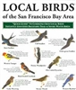 Local Birds of the San Francisco Bay Area (laminated fold-out guide)