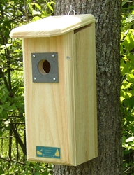 Downy Woodpecker House