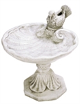 Shell Bird Bath