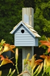 Cape Cod Wren