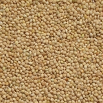 White Proso Millet