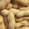 Peanuts In-Shell