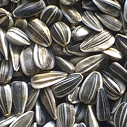 Striped Sunflower Seeds