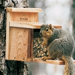 Squirrel Box Feeder