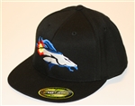 Colorado Denver Broncos Flex Fit Cap by Brawlin