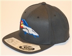 Colorado Denver Broncos Flex Fit Snap Back by Brawlin