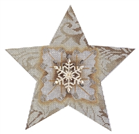 110b White Snowflake Star