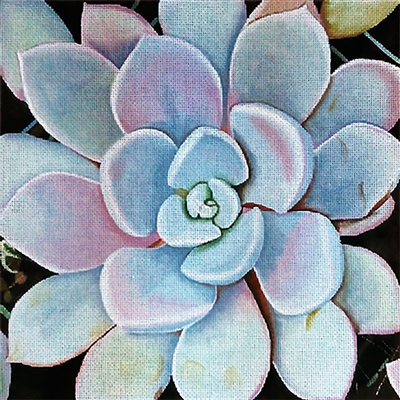 431 Pale Lavendar & Blue Succulent